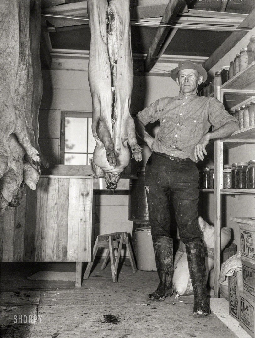December 1936. "C.D. Grant in storehouse on his farm at Penderlea Homesteads, North Carolina." Medium format negative by Arthur Rothstein. View full size.
