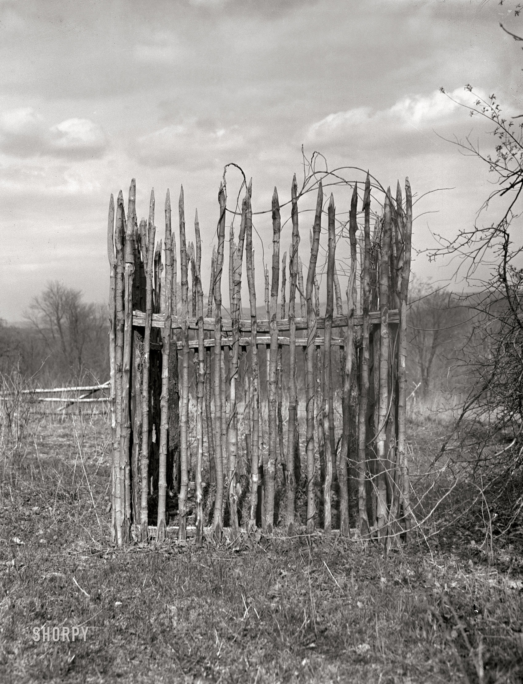 May 1939. "Grave. Kempton, West Virginia. The cemetery is on the top of a hill behind the town." Acetate negative by John Vachon for the Farm Security Administration. View full size.