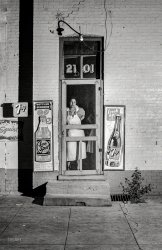 July 1941. "Store in alley-dwelling section of Washington, D.C." Medium format acetate negative by Edwin Rosskam. View full size.