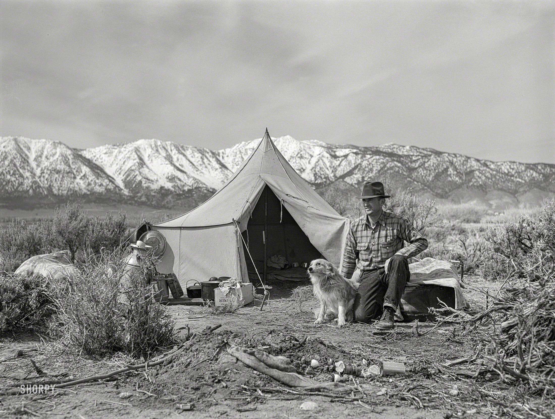 March 1940. "Basque sheepherder camped on the range. Dangberg Ranch, Douglas County, Nevada." Photo by Arthur Rothstein for the Farm Security Administration. View full size.