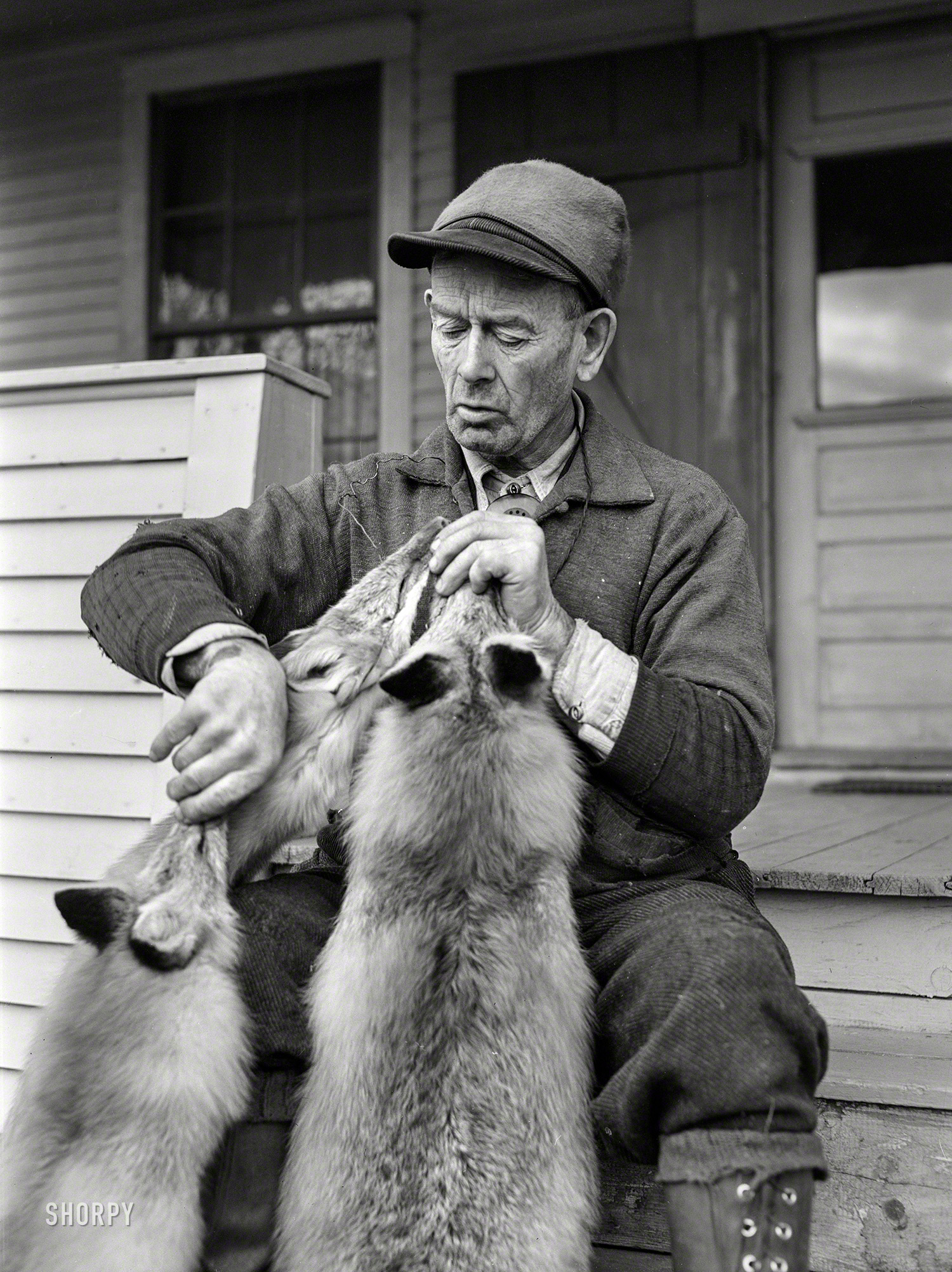 December 1941. "Perley Mosley with three pelts from foxes he trapped. Eden Mills, Vermont." Photo by Arthur Rothstein, Office of War Information. View full size.