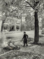 December 1941. "Burning fallen leaves. New York City suburbs." Medium format negative by Arthur Rothstein for the Office of War Information. View full size.