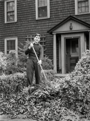 December 1941. "Raking leaves. New York City suburbs." Where the bamboo meets the oak. Photo by Arthur Rothstein, Office of War Information. View full size.