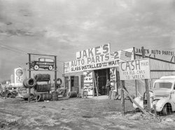 January 1942. "Auto graveyard -- U.S. Highway 80, between Fort Worth and Dallas." The car-parts place next to the cow-parts place. Acetate negative by Arthur Rothstein. View full size.