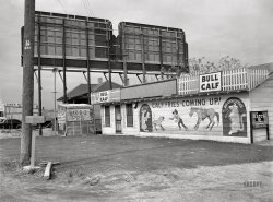 January 1942. "Roadside cafe. U.S. Highway 80, Texas, between Dallas and Fort Worth." Acetate negative by Arthur Rothstein for the Office of War Information. View full size.