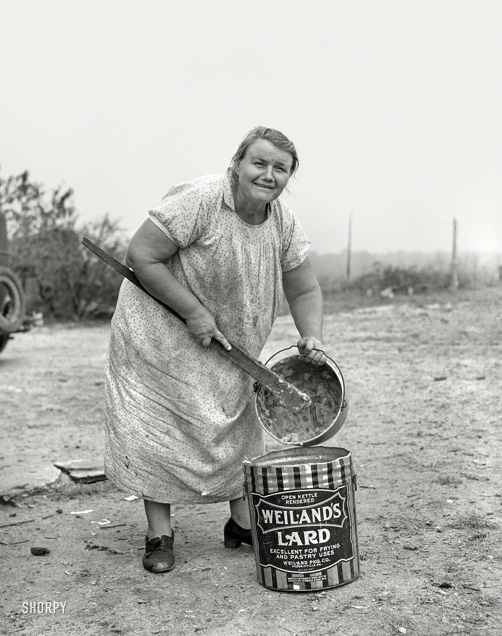 October 1938. "Farm wife. Burlington County, New Jersey." Photo by Arthur Rothstein for the Farm Security Administration. View full size.