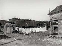January 1939. "Clean clothes. Carrier Mills, Saline County, Illinois." Photo by Arthur Rothstein for the Farm Security Administration. View full size.