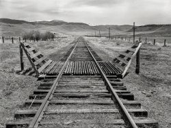 July 1939. "Cattle guard on railroad. Madison County, Montana." Photo by Arthur Rothstein for the Farm Security Administration. View full size.