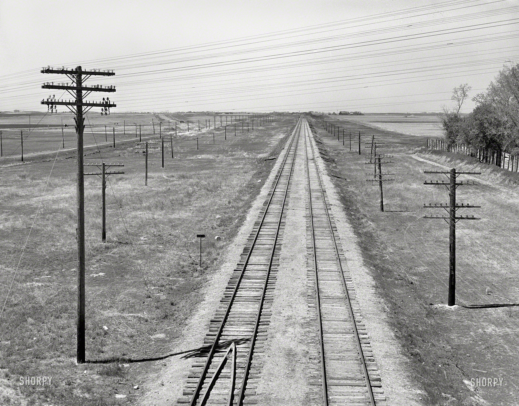 July 1939. "Northern Pacific railroad tracks west of Fargo, North Dakota." Photo by Arthur Rothstein for the Farm Security Administration. View full size.