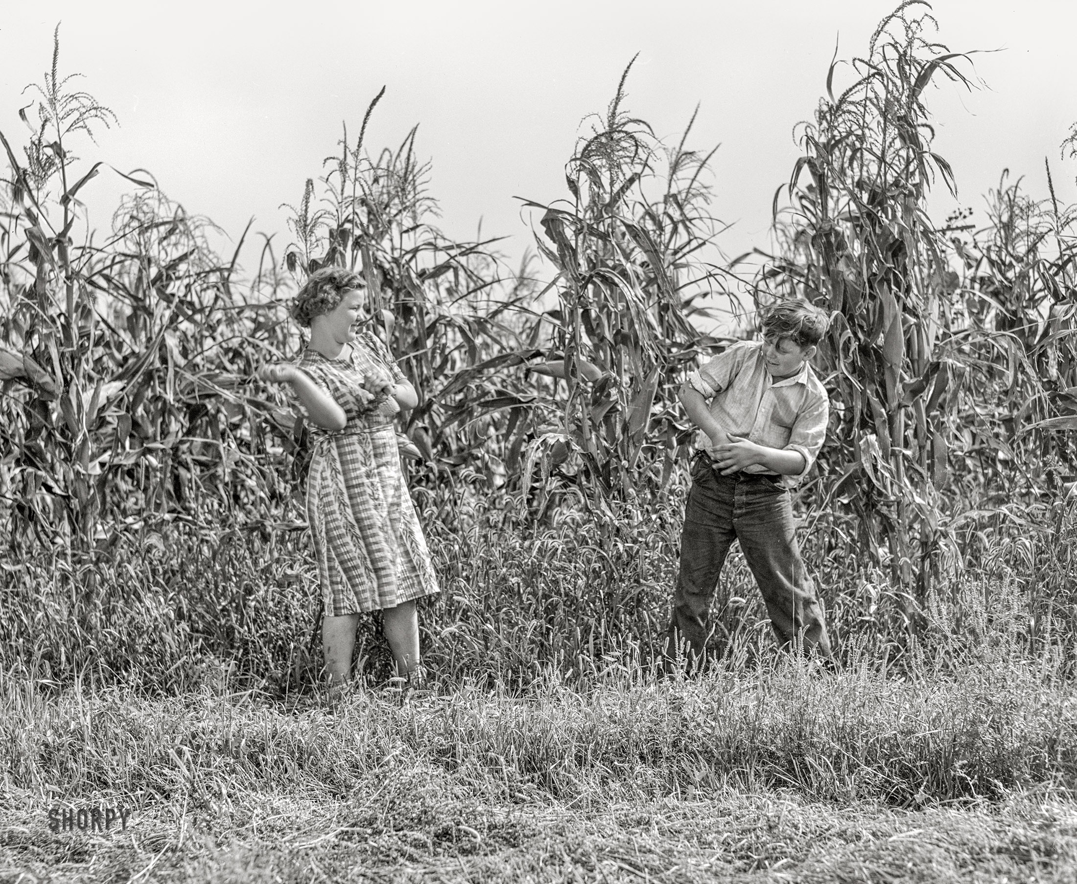 September 1939. "Kimberley farm, Jasper County, Iowa. Corn fight between Margaret and Howard Kimberley." Photo by Arthur Rothstein, Farm Security Administration. View full size.
