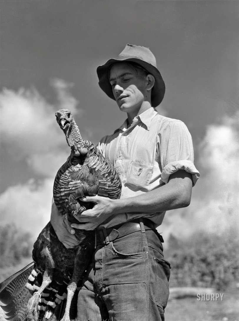 Bird Herder: 1939