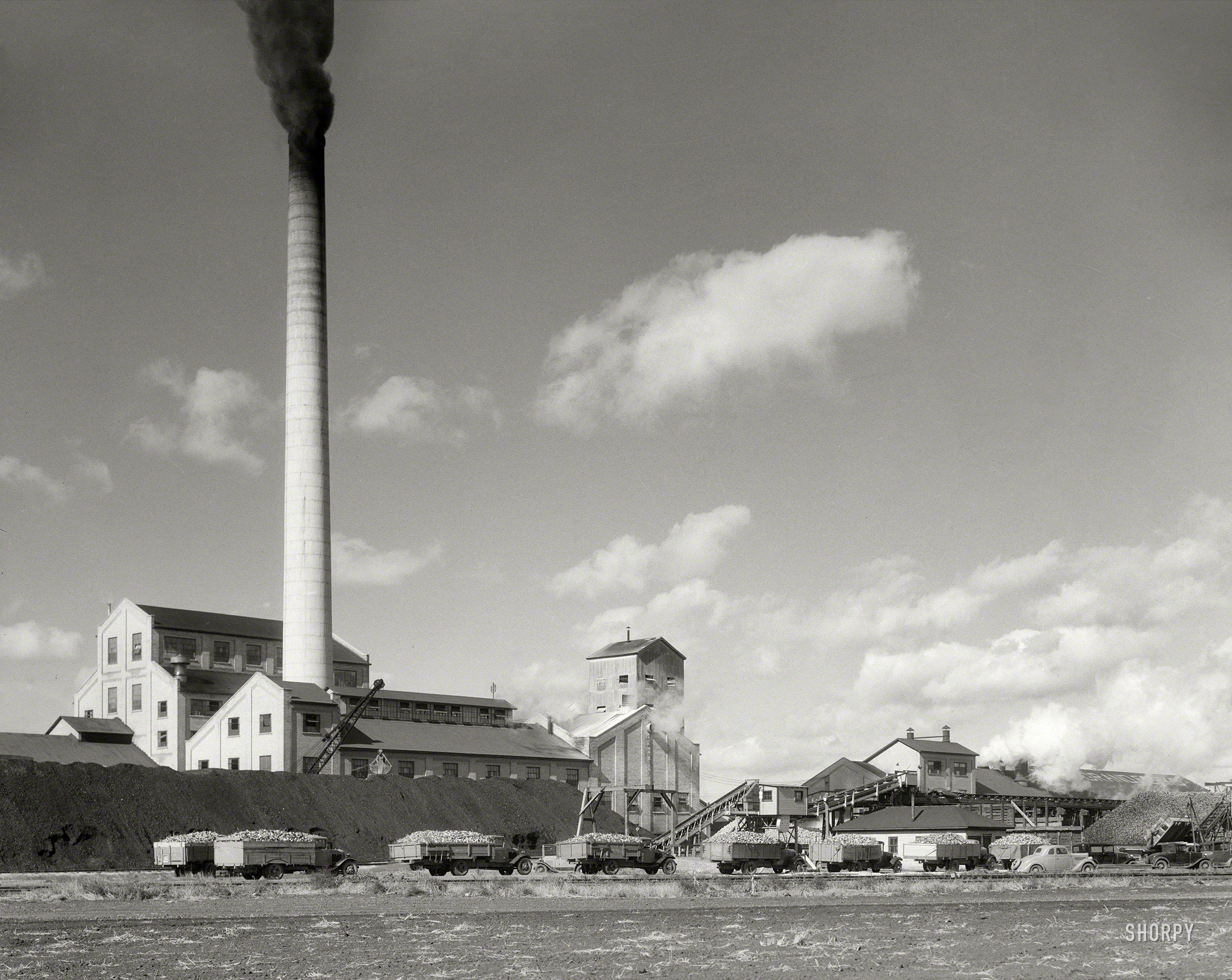 October 1937. "Sugar beet factory with trucks lined up waiting to be unloaded. East Grand Forks, Minnesota." Photo by Russell Lee for the FSA. View full size.