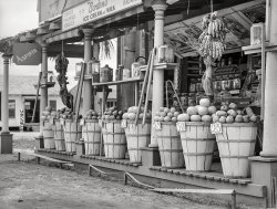 February 1939. "Fruit stand in Robstown, Texas." Medium format negative by Russell Lee for the Farm Security Administration. View full size.
Cheerios 5 centsVanilla ice cream on a stick with a hard thin chocolate shell. Crunchy chocolate and ice cream. All that bliss for a nickel.
My dad would’ve called it aStick in the mud.
Also remember purple people eaters, nutty buddies, and dreamsicles.
BananasThese look like the Gros Michel (Big Mike) variety, prior to disease forcing a move the newer Cavendish we see today. Unfortunately, the Cavendish is in danger as a single cultivar with disease issues in many growing regions. Some growers are working to re-institute the Gros Michel, which some feel is a tastier variety, as well.
Spell CheckHmmm, should be 'Cheerios' and 'Fudgesicle' on the signs.  I'll let it go this time.
Foot RestCan someone explain the warped and broken boards running low along the front of the shop?  Also, what are the sticks with nails on their ends hinged to the columns for? 
[To keep people from filching fruit, and to hold up the awnings. - Dave]
(The Gallery, Russell Lee, Small Towns, Stores & Markets)