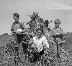 September 1939. "Ernest W. Kirk Jr. with his two sons on their farm near Ordway, Colorado. They hold fruits of their farm, coming from their labor, which has placed them in a few months from almost hopeless condition to a family with net worth approaching a thousand dollars." Medium format negative by Dorothea Lange for the Farm Security Administration. View full size.