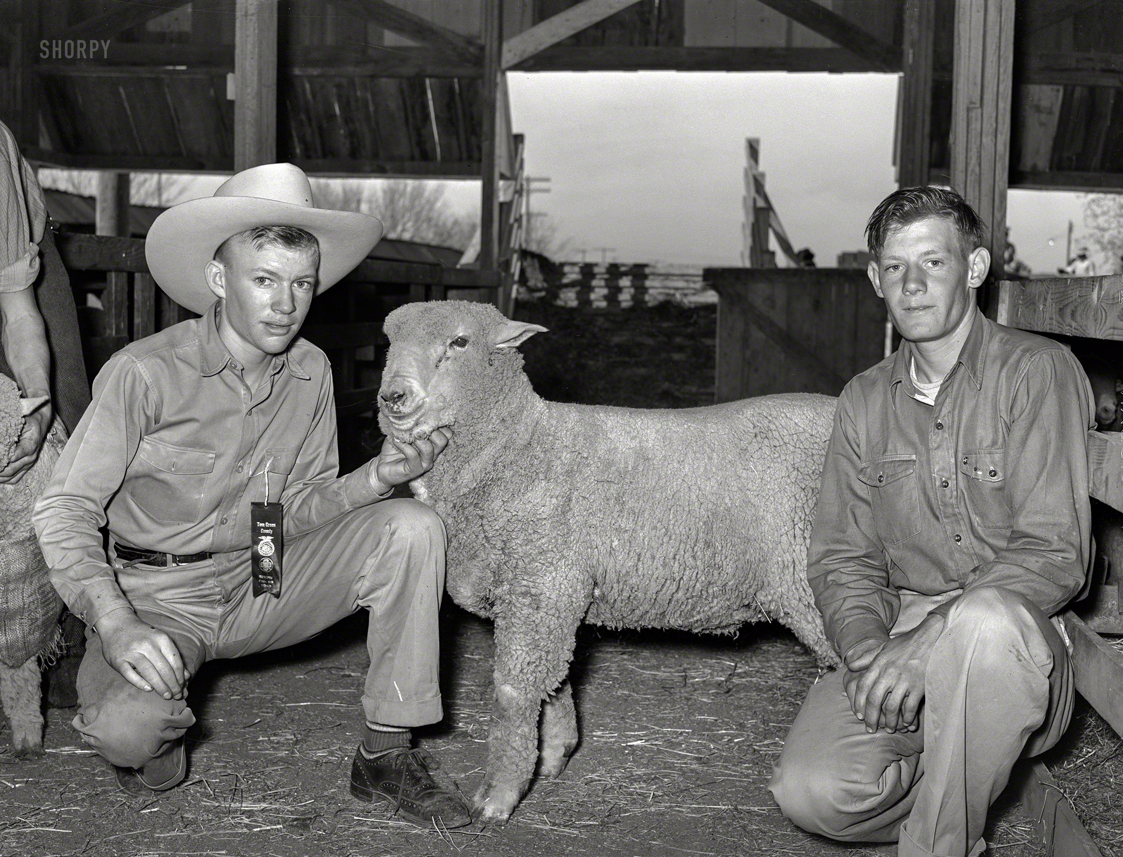 February 1940. San Angelo, Texas. "4-H Club boys from Tom Green County showing sheep at the San Angelo Fat Stock Show." Medium format negative by Russell Lee for the Farm Security Administration. View full size.