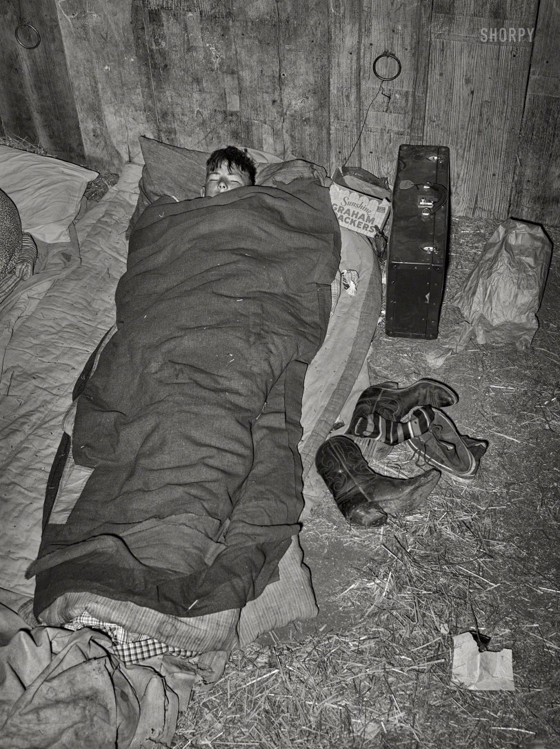 March 1940. "Cowboy asleep in cattle show barn at San Angelo Fat Stock Show. At nearby stock shows the working cowboys bring along their camp beds and sleep in the barns." The tag on our buckaroo's suitcase reads "R.R. Walston."  Photo by Russell Lee for the Farm Security Administration. View full size.
