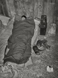 March 1940. "Cowboy asleep in cattle show barn at San Angelo Fat Stock Show. At nearby stock shows the working cowboys bring along their camp beds and sleep in the barns." The tag on our buckaroo's suitcase reads "R.R. Walston."  Photo by Russell Lee for the Farm Security Administration. View full size.
A Whiff of Cowboy CultureOne of my favorite Shorpy pastimes is an an olfactory exploration of photos. I don't know why my mind goes there immediately with some photos - I guess they trigger memories, which are tied to the brain's Limbic System, which I've discussed on this platform previously. 
My list of odors associated with this photo:
Stale hay (different from fresh hay - dustier)
Graham Crackers
Slightly mildewed sleeping bag
Horses, and the apples thereof
Oats
Leather
Hair Oil (bet he's a Dapper Dan man)
A boy-foot miasma from socks, boots, and sneakers
A smouldering campfire outside (or possibly a fire in an oil drum to contain sparks)
Addendum: Don't know if s'mores were a "thing" in 1940, but the makings are all there:
Graham Crackers: CHECK (whole carton of them)
Chocolate Bar: CHECK (wrapper near young Mr. Walston's left shoulder
Marshmallows: CHECK (presuming the paper bag to the right of his grip is full of them)
Goober Pea
There&#039;s nothing more to say.That post transformed 50 pages of cultural anthropology to a handful of indelible scents!
(The Gallery, Agriculture, Camping, Russell Lee)