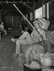 March 1940. "Cowboy resting on hay and rolled-up camp bed in the barn at San Angelo Fat Stock Show." Living the dream in San Angelo, Texas. Medium format negative by Russell Lee for the Farm Security Administration. View full size.