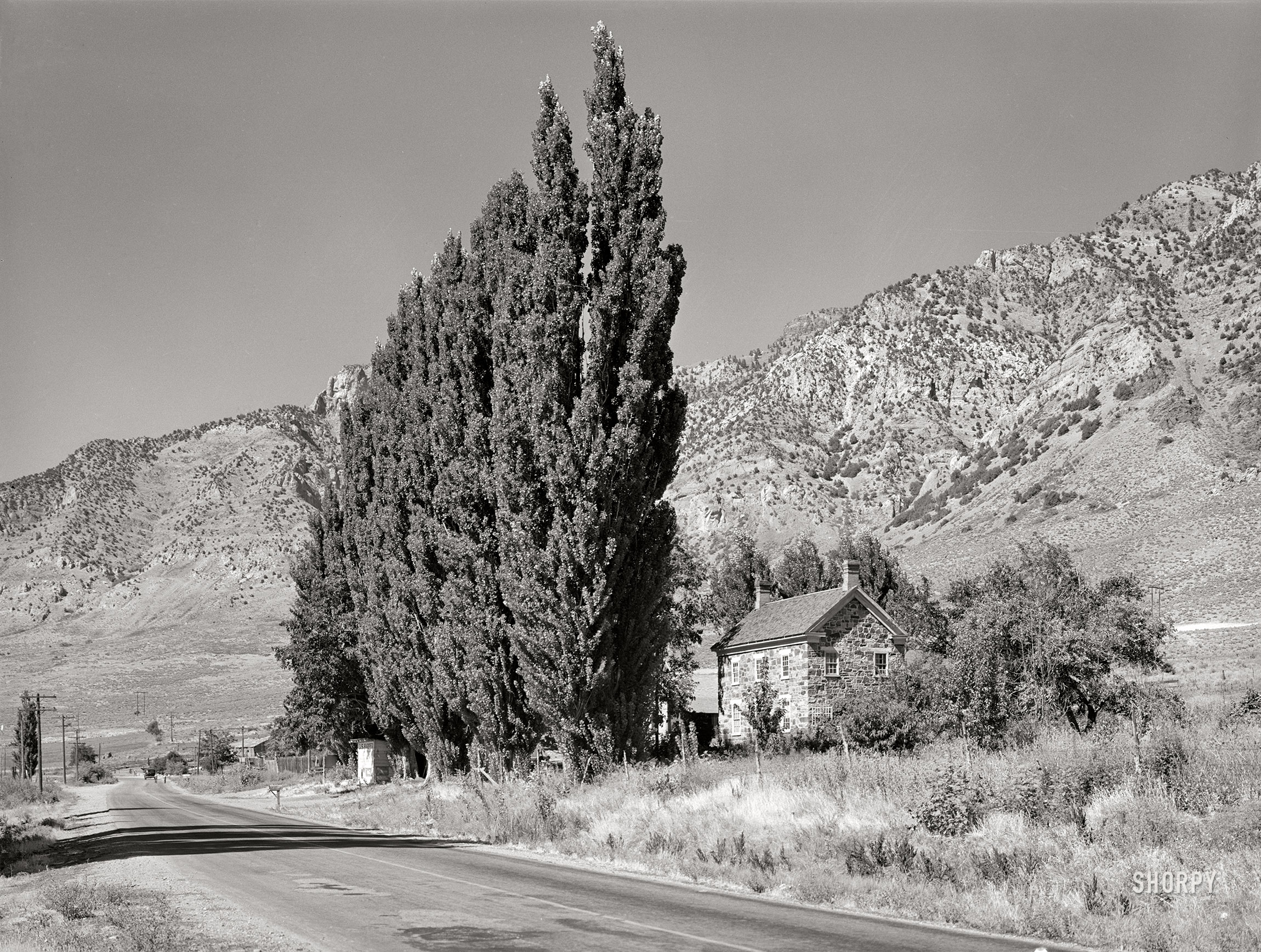 August 1940. "Rural scene with Lombardy poplars used as windbreak. Box Elder County, Utah." Acetate negative by Russell Lee for the Farm Security Administration. View full size.