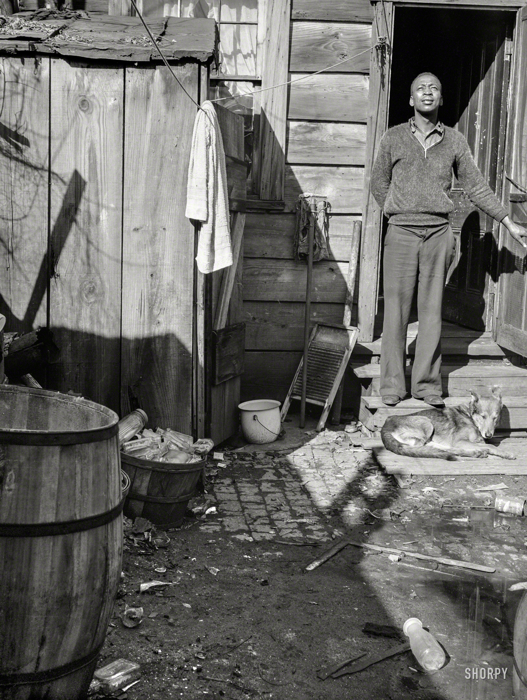 November 1935. "Backyard in Northwest Washington, D.C." Medium format negative by Carl Mydans for the Resettlement Administration. View full size.