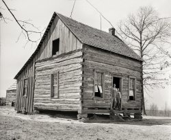 March 1936. "One-room house on Coalins Forest and Game Reservation between the Tennessee and Cumberland rivers in Kentucky." Medium format nitrate negative by Carl Mydans for the Resettlement Administration. View full size.