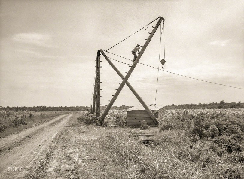 June 1936. "Derrick, characteristic sight in Louisiana cane field. Used to transfer cane from wagons to trucks for transportation to sugar mills." Medium format negative by Carl Mydans for the Farm Security Administration. View full size.
