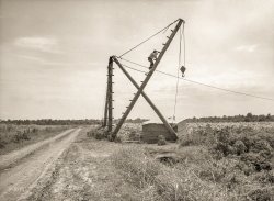 June 1936. "Derrick, characteristic sight in Louisiana cane field. Used to transfer cane from wagons to trucks for transportation to sugar mills." Medium format negative by Carl Mydans for the Farm Security Administration. View full size.