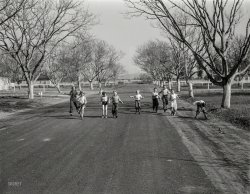 February 1936. "Children at the El Monte subsistence homesteads, California." Photo by Dorothea Lange for the Resettlement Administration. View full size.
