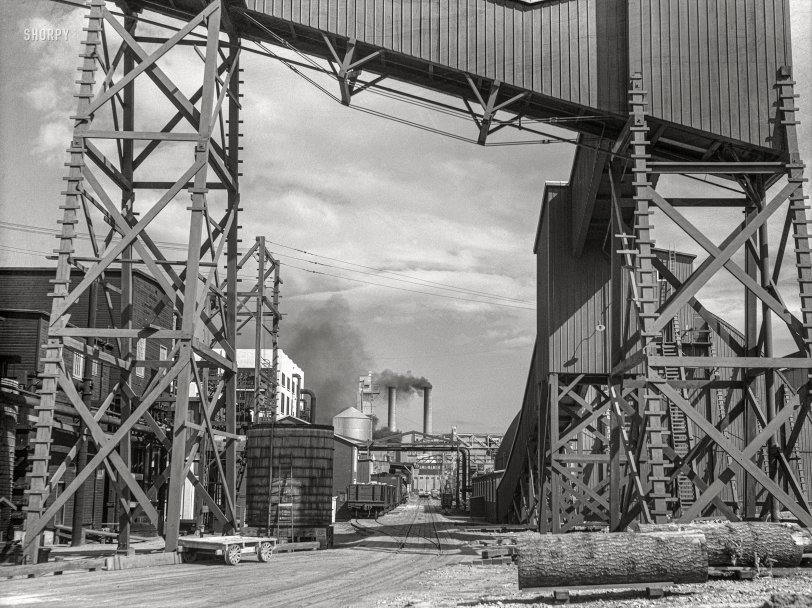 July 1936. "One of the largest sawmills in the world. Employs many of the Resettlement Administration homesteaders at Longview, Cowlitz County, Washington." Medium format negative by Arthur Rothstein for the Resettlement Administration. View full size.
