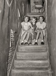 January 1937. "Children of migrant citrus worker who lives in a rundown apartment house. The sink at the head of the stairs is the only running water in the house. Winter Haven, Florida." Photo by Arthur Rothstein. View full size.