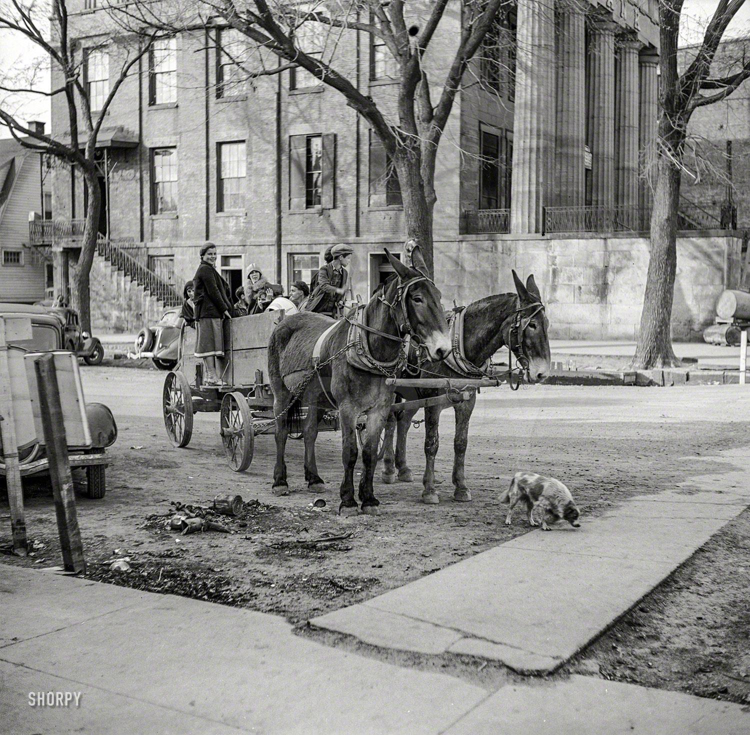 April 1937. "Scene in Shawneetown, Illinois." Medium format nitrate negative by Russell Lee for the Resettlement Administration. View full size.