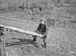 May 1937. "One of Max Sparks' children playing on homemade teeter-totter near Long Lake, Wisconsin." Medium format negative by Russell Lee. View full size.
Life before computer gamesWhen I was a kid in the early 70s, our teeter-totter was a 55 gallon drum with a 1 x 6 board. It worked great until the barrel, or board, or both, started moving. Still good clean fun for kids in the country. And if we got tired of that, we would take the board off and see how long we could "walk" the drum, log-rolling style.
What&#039;s in a name?In my part of the world we know this apparatus as a SEESAW. However I am familiar with Tetter Tot thanks to an episode of the Brady bunch. Was it not Cindy that wished to set a tetter tot record?
[Cindy was tetter, but Marcia was tettest. - Dave]
Ready for launchDrop the boulder!!
Ouch!Cherry bumps* would really hurt on that teeter-totter.
*  The effect produced when the tot going down hits the ground hard, causing a shock wave to bounce the kid on the high end rather violently.
Been there 50+ years agoMy Grampa and my Dad built a cottage on Long Lake back in the '30s.  As a youngster, we'd be packed off to visit with the grandparents a few kids at a time.  Wonder how they put up with us monsters at their age.  Always sweeping sand out of the kitchen and dining area and off the porch.
 They must have been saints.
tom
(The Gallery, Kids, Russell Lee)