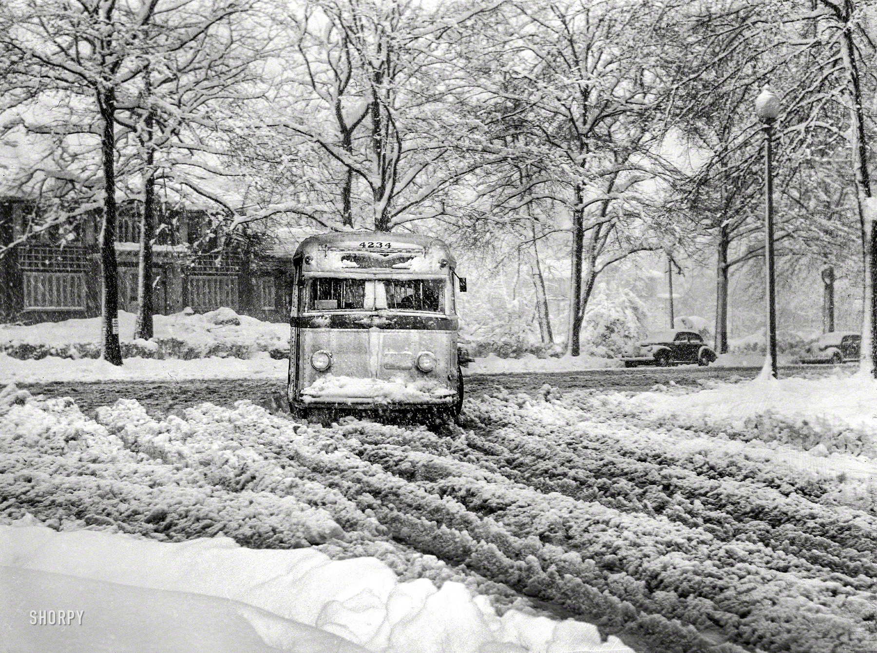 March 1942. Washington, D.C. "Bus going through the snow near Connecticut Avenue and Chevy Chase Circle." No one ever moved to Washington for the weather! Photo by John Ferrell for the Office of War Information. View full size.