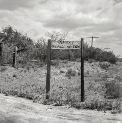 May 1939. "Sign near St. David, Cochise County, Arizona." Medium format negative by Dorothea Lange, Farm Security Administration. View full size.