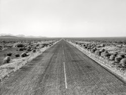 June 1938. "New Mexico desert. Highway No. 70. The route many refugees cross." Medium format negative by Dorothea Lange for the Farm Security Administration. View full size.