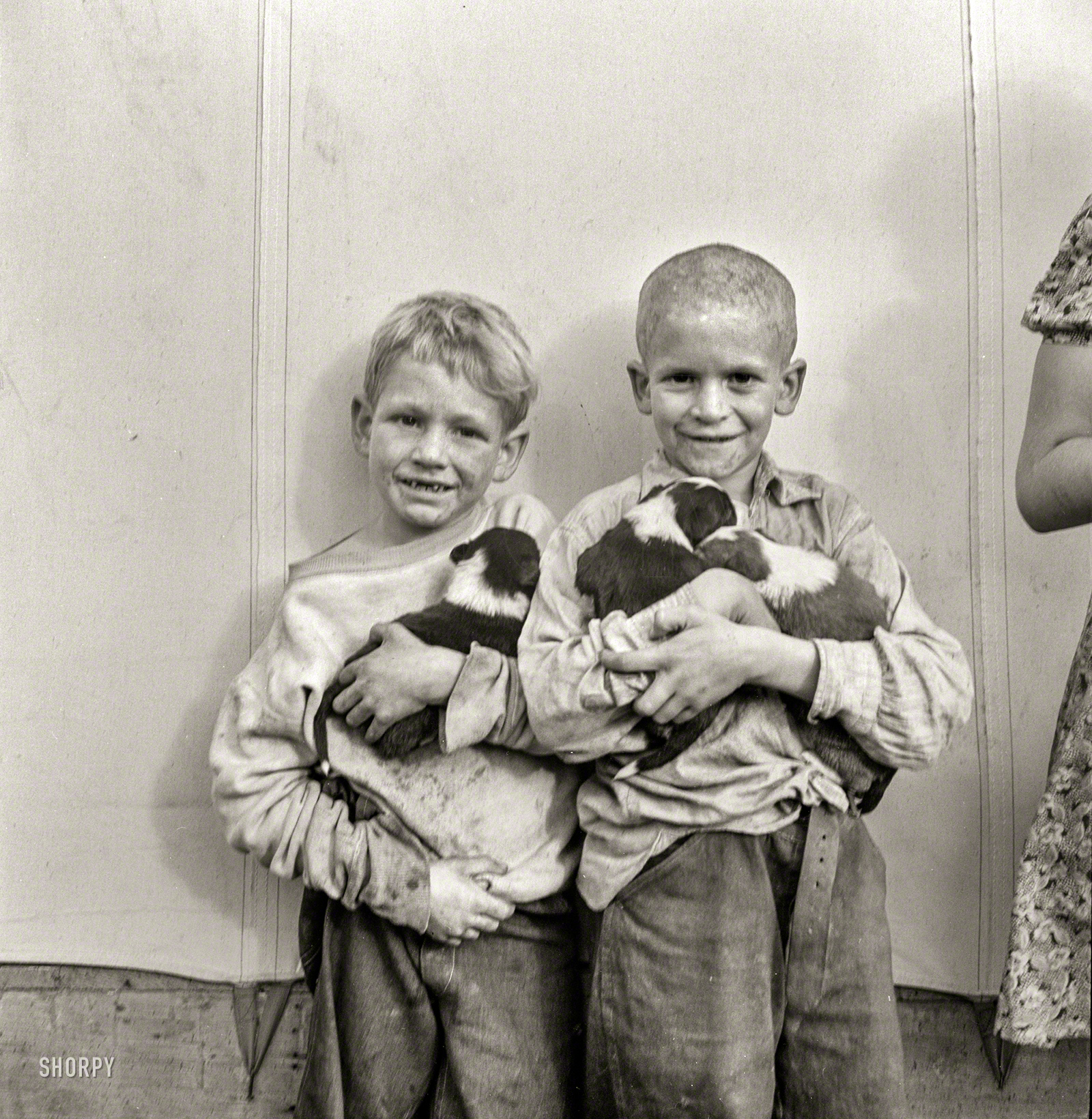 November 1938. "Migrant cotton picker's children who live in a tent in the government camp instead of along the highway or in a ditch bank. Shafter Camp, California." Medium format nitrate negative by Dorothea Lange. View full size.
