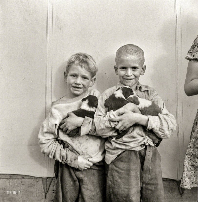 And Puppy-Dog Tails: 1938