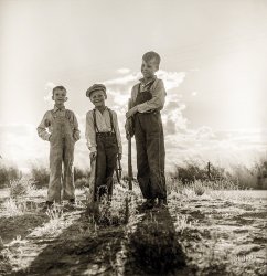 November 1938. "Children of [Dust Bowl] refugee families now on Works Progress Administration. They live in tents on the flats outside of Bakersfield, California." Photo by Dorothea Lange for the Resettlement Administration. View full size.