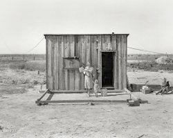 November 1938. "Home of rural rehabilitation client, Tulare County, California. They bought 20 acres of raw unimproved land with a first payment of 50 dollars which was money saved out of relief budget (August 1936). They received a Farm Security Administration loan of $700 for stock and equipment. Now they have a one-room shack, seven cows, three sows, and homemade pumping plant, along with 10 acres of improved permanent pasture. Cream check approximately 30 dollars per month. Husband also works about ten days a month outside the farm. Husband is 26 years old, wife 22, three small children. Been in California five years. 'Piece by piece this place gets put together. One more piece of pipe and our water tank will be finished'." Medium format negative by Dorothea Lange for the Farm Security Administration. View full size.
