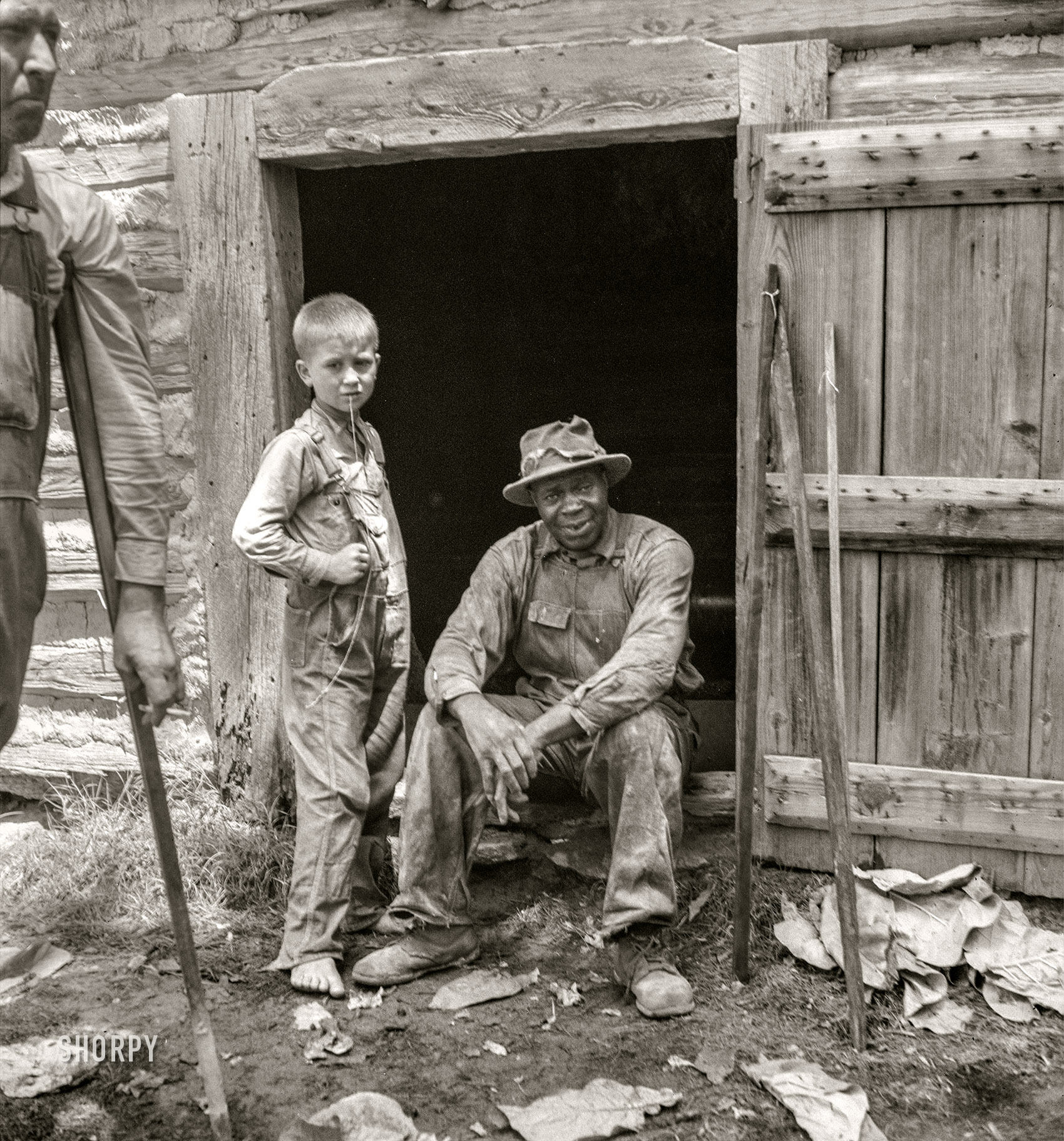July 1939. Granville County, North Carolina. "Tobacco people take it easy after their morning's work 'putting up' tobacco." Medium-format nitrate negative by Dorothea Lange. View full size.