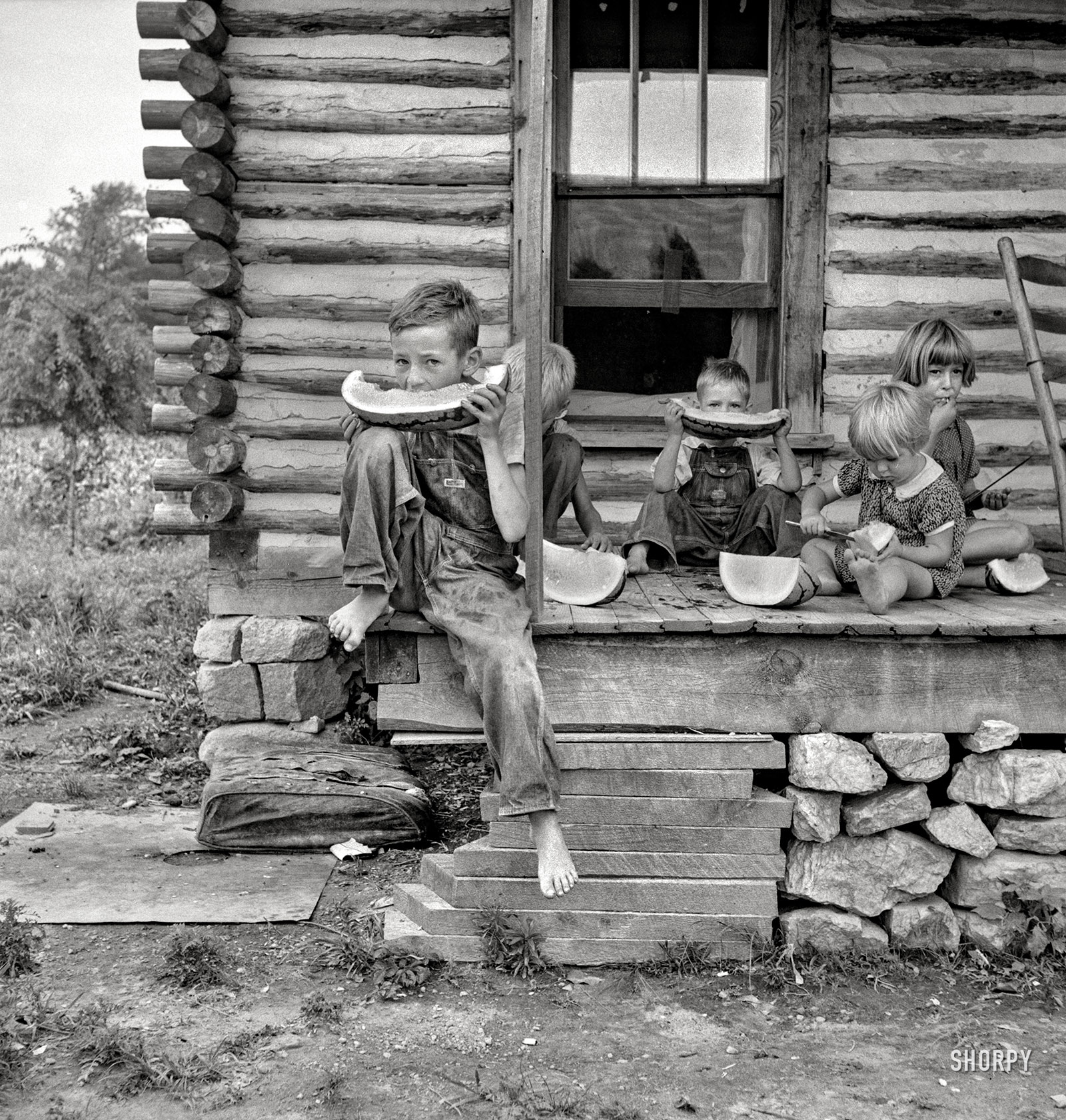 July 1939. Person County, North Carolina. "Millworker's house six miles north of Roxboro." Medium format negative by Dorothea Lange. View full size.