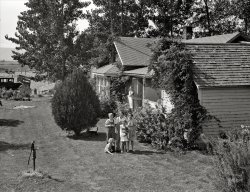 August 1939. "Washington, Yakima Valley, near Wapato. One tenant purchase program (Farm Security Administration) client, Jacob N. Schrock. This family with eight children had lived for 25 years on a rocky, rented farm in this valley. They now own 48 acres of good land, this good house, price $6,770. They raise hay, grain, dairy and hogs. Mrs. Schrock says, 'Quite a lot of difference between that old rock pile, and around here'." Photo by Dorothea Lange. View full size.