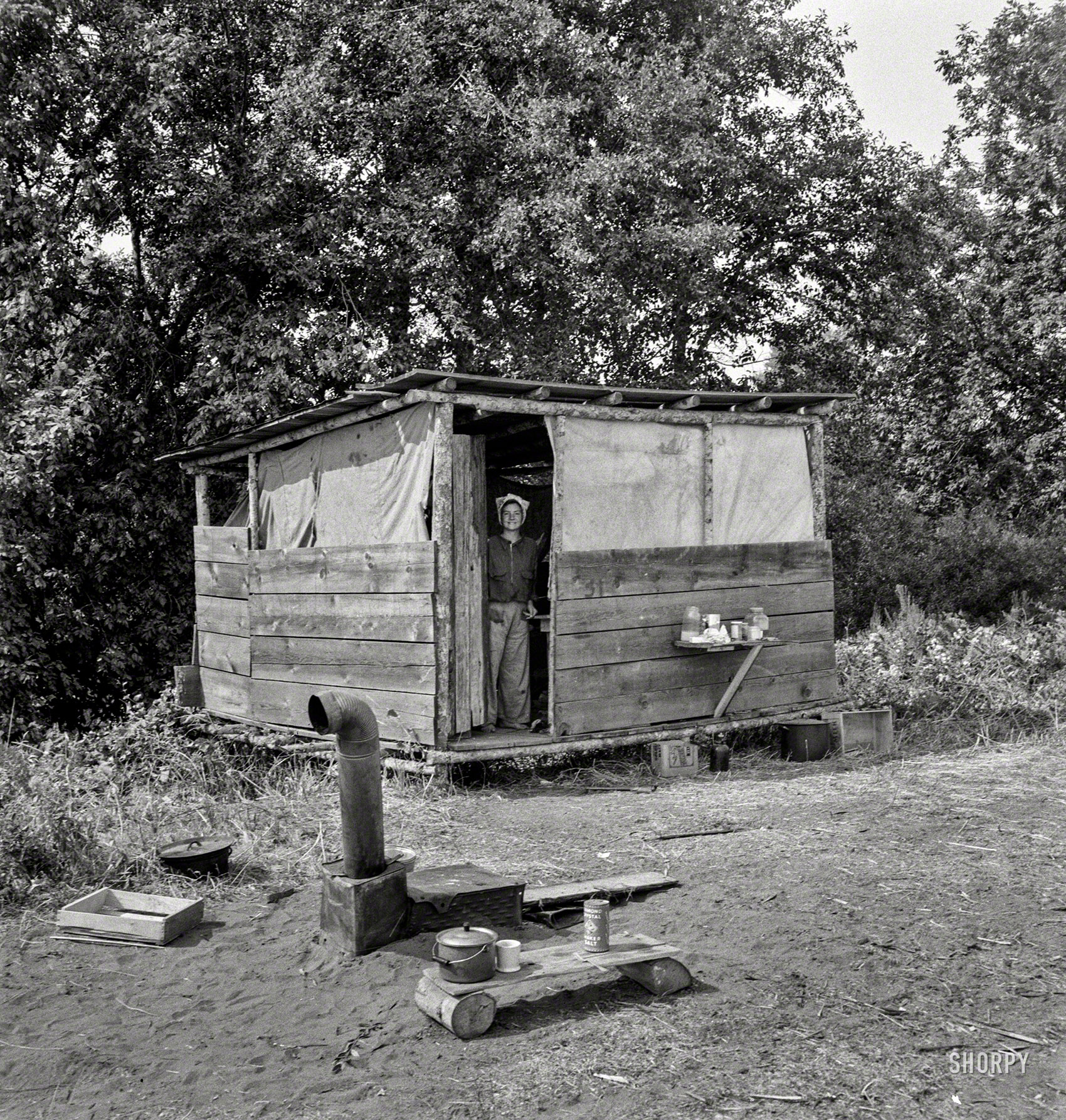 August 1939. "Josephine County, Oregon, near Grants Pass. A row of shelters like this for hop pickers' families." Medium format negative by Dorothea Lange for the Resettlement Administration. View full size.
