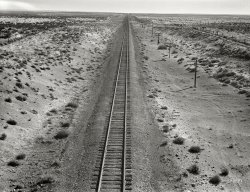 October 1939. "Western Pacific line runs through unclaimed desert of northern Oregon. Ten miles from railroad station at Irrigon. Morrow County, Oregon." Photo by Dorothea Lange for the Farm Security Administration. View full size.
Off-kilterThe horizon is not quite, well, horizontal.  Which makes the tracks appear somewhat diagonal.  Which obviously sets off the fussy alarm in me.
Supply LinesIt's stunning to think how much of this track had to be laid out on barren areas far from any depot for supplies, water, food, shelter. The logistics and flat-out suffering required to build in such long stretches through land like this is simply staggering.
Back up!  No, you back up!I sure hope there's a passing track somewhere along that line...
CuriousDid 'unclaimed' simply mean there was no known owner of the land in question? 
Geographic Typographic ErrorThe Western Pacific Railroad did not serve Oregon.  The Union Pacific railroad operates along the south bank of the Columbia river and is presumably the subject of this image.
NowhereReminds me of the statement "Everyone knows this is nowhere"
Union PacificMust be looking ESE from the overpass at 45.84047N 119.61106W. On the second pole is Milepost 167 from Portland.
US 730, a mile northeast of Interstate 84The landscape of this Columbia River valley area is now densely green with irrigated vegetation; but it looks like this photograph might have been taken from a bridge across the existing railroad tracks along (or close to) highway US 730, just northeast of Interstate 84.  The camera would have been pointing approximately "east-south-east".  A double "passing track" is now along this view.
The Outback of BeyondMiles and miles of nothing but miles and miles.
I LOVE THIS PLACEThis photo and its comments are case in point why I love this website. I now have "fussy alarm" in my lexicon thanks to davidk. I now know Leucas and I share a fascination with logistical challenges (I used to marvel at the engineering it took to reroute traffic in Boston during the Big Dig). I love PhotoFan's imagination at work here. I know I can call on Timz to give the the location of a gnat on an elephant's behind any given Sunday. And I simply love that you all care about this stuff in any way, because part of me deeply appreciates this too. 
How Far To The HorizonI'm in a rush you see
We were to meet by the western sky
My love must be waiting on me.
&nbsp;&nbsp;&nbsp;&nbsp;&nbsp;&nbsp;&nbsp;&nbsp;Recorded by Jesse Winchester
As noted by Socks below the country has turned a little green since October 1939 when my dear Mom was still carrying me inside of her. 
(The Gallery, Dorothea Lange, Landscapes, Railroads)