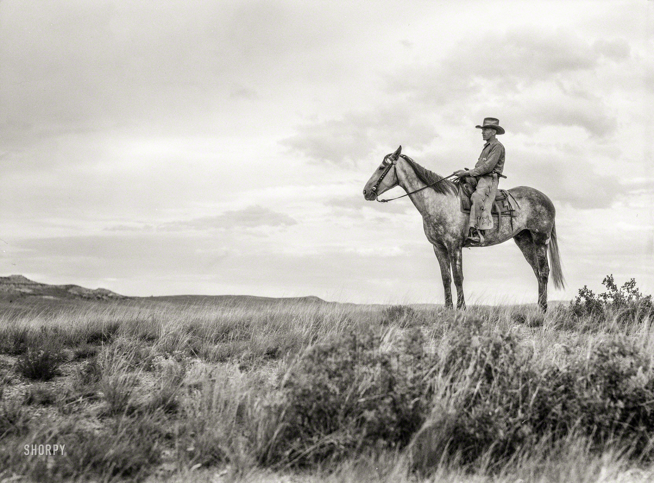 June 1939. "Cowboy at Quarter Circle U roundup, Big Horn County, Montana." Medium format negative by Arthur Rothstein for the FSA. View full size.