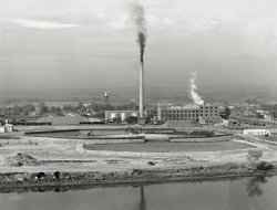 October 1939. "Sugar beet factory along Snake River. Shows beet dump, beet pile. Nyssa, Malheur County, Oregon." Medium format negative by Dorothea Lange for the Farm Security Administration. View full size.