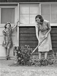 A Garden of Mum's: 1942