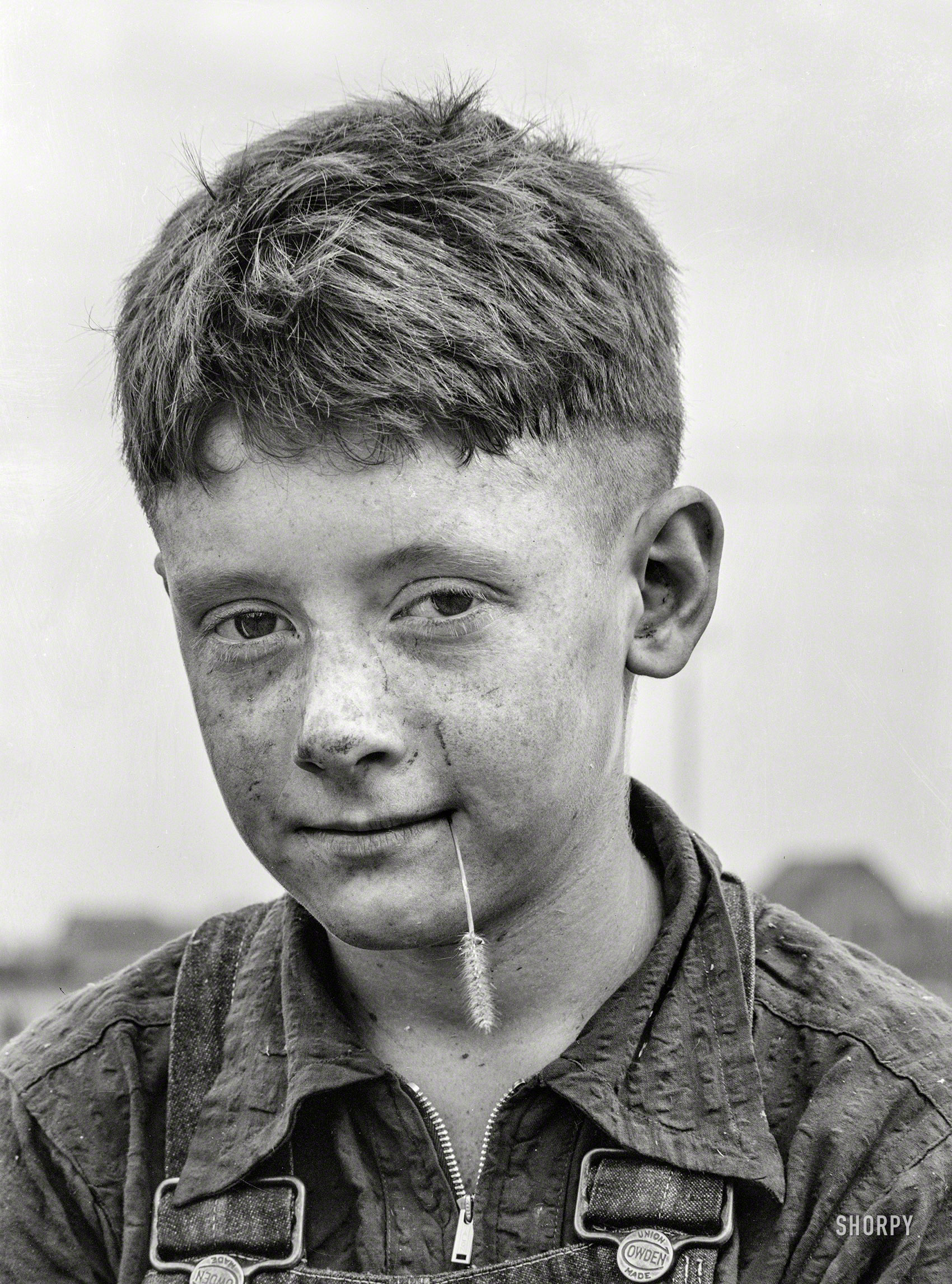 September 1939. "Son of dairy farmer. Dakota County, Minnesota." Photo by Arthur Rothstein for the Farm Security Administration. View full size.