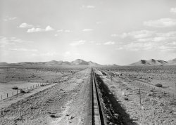June 1938. "Railroad tracks in Southwestern New Mexico." 4x5 nitrate negative by Dorothea Lange for the Resettlement Administration. View full size.