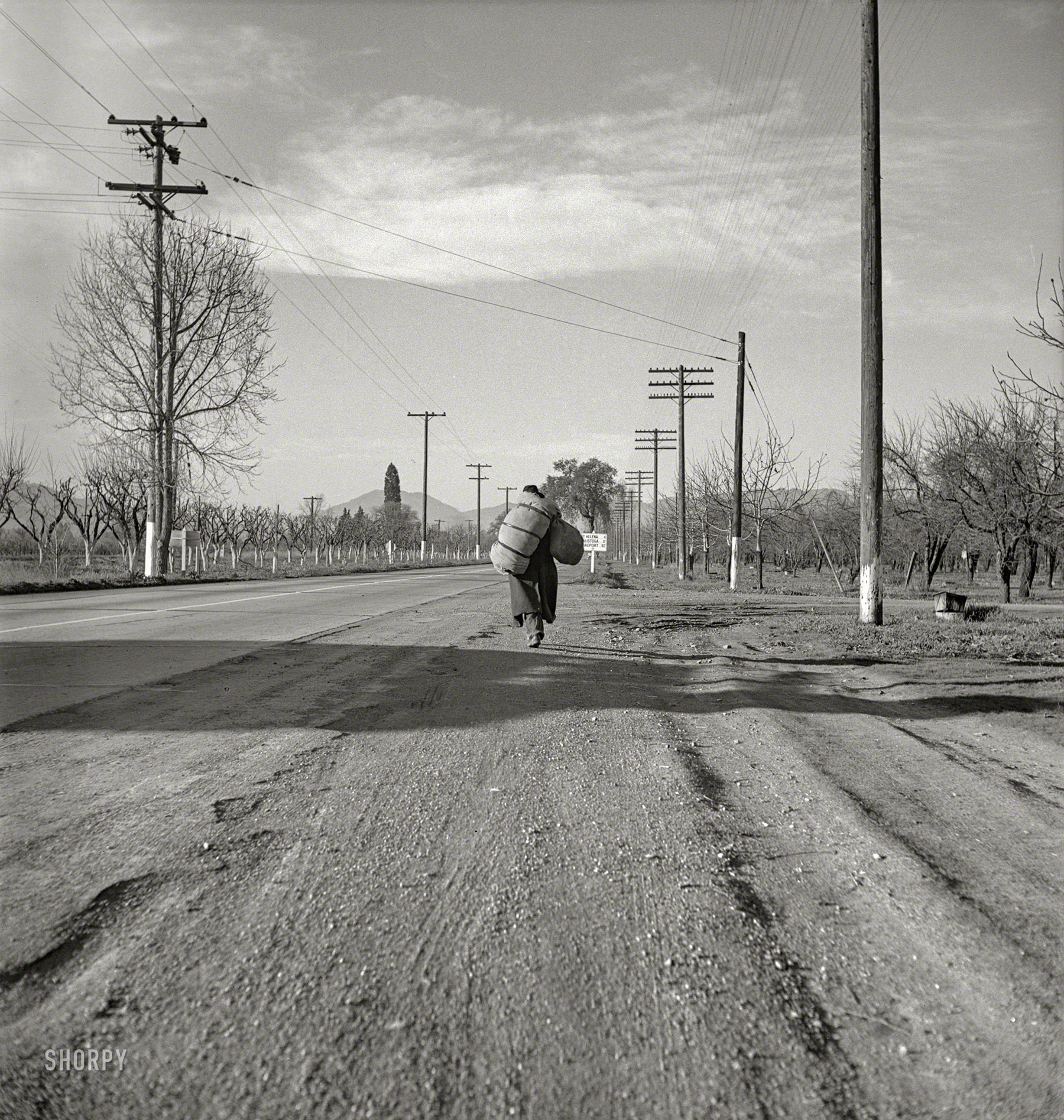 December 1938. "Napa Valley. More than 25 years a bindlestiff. [Also seen here.] Walks from the mines to the lumber camps to the farms. The type that formed the backbone of the Industrial Workers of the World in California before the war. Subject of Carleton Parker's studies on Industrial Workers of the World." Photo by Dorothea Lange for the Farm Security Administration. View full size.